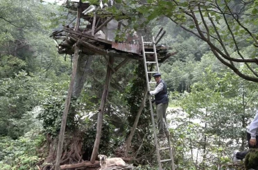 Rize’de karakovan balı Anzer Balı’nı solladı 