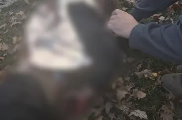Rusya Ukrayna’da parkı vurdu: 3’ü çocuk 6 ölü
