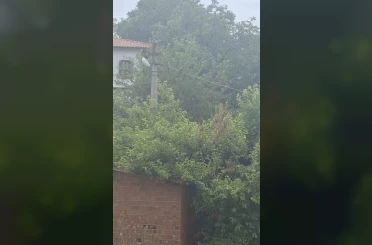 Safranbolu’da karganın "Allah" diye ses çıkardığı anlar kameraya yansıdı 