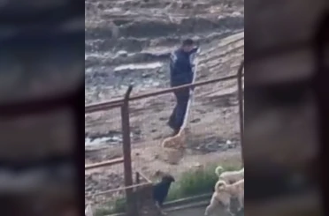 Sakarya Valiliğinden iki ilçedeki barınak görüntülerine ilişkin açıklama 