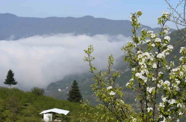 Sakarya’nın yüksek kesimlerinde bahar güzelliği 