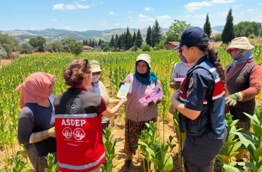 Salihli Jandarma, tütün tarlasında KADES’i anlattı 