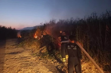 Samandağ’da kamışlık yangını 