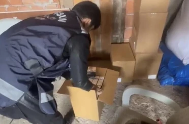 Samsun’da kaçak tütün mamülleri ve silah operasyonu: 1 gözaltı