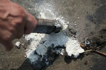 Samsun sahiline vuran şüpheli maddeyi TÜBİTAK inceleyecek
