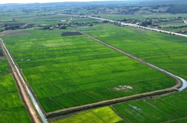 Samsun’da bozulan tarım arazileri cezasız kalmadı: 48 işlem uygulandı 