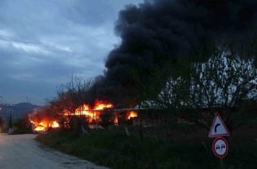Samsun’da muz deposunda yangın: Ekipler müdahale ediyor 