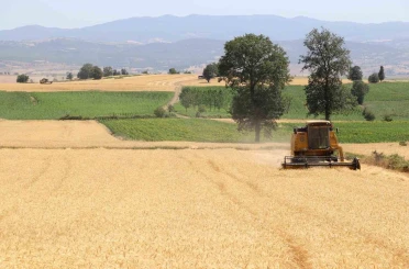 Samsun’da tarım, hayvancılık ve kırsal kalkınmaya 3 milyar TL üzerinde destek 
