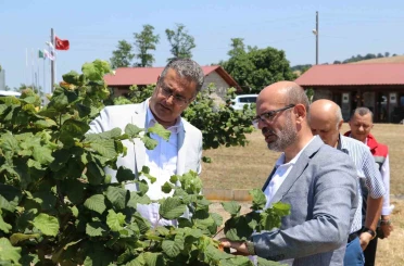 Samsun’da tarımsal üretim çalışmaları yerinde incelendi 