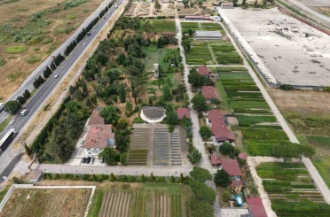 Samsun’dan ’Yeşil Vatan’a yılda 3 milyon fidan 