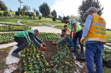 Şanlıurfa’da 400 bin çiçek toprakla buluşuyor 