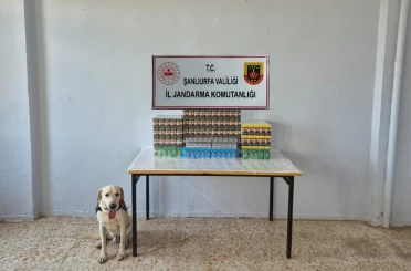 Şanlıurfa’da 7 bin 777 paket gümrük kaçağı sigara ele geçirildi 