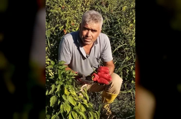 Şanlıurfa’da asansör faciası: Boşluğa düşen servis şoförü hayatını kaybetti 