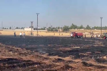 Şanlıurfa’da çıkan yangında 60 dönüm buğday ekili alan zarar gördü 