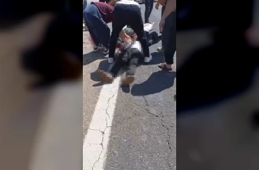 Şanlıurfa’da kurbanlık yüklü kamyonet devrildi: 1 ölü, 1 yaralı 