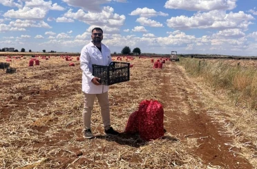Şanlıurfa’da sarımsak hasadı devam ediyor 