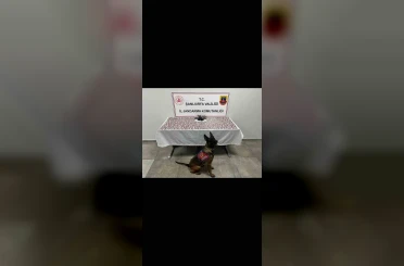 Şanlıurfa’da uyuşturucu operasyonu: 2 gözaltı 