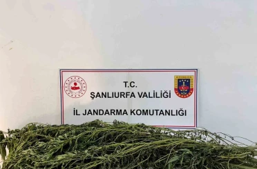 Şanlıurfa’da uyuşturucu operasyonu: 42 gözaltı 