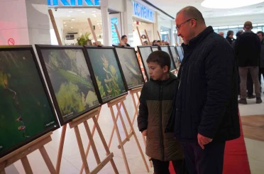 Sapanca Gölü fotoğrafları Gazze için umuda dönüştü: Geliri yetim ve öksüz çocuklara bağışlanacak 