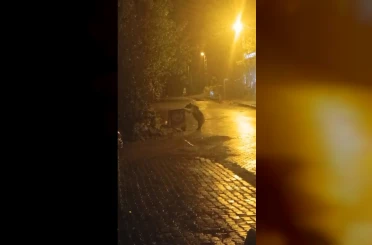 Sarıkamış’ta ayılar kış uykusunu unuttu 