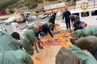 Saros Körfezi’nde denize açılan balıkçıların ağları kefal ile doldu 