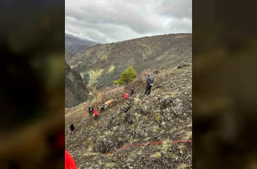 Sarp kayalıklarda mahsur kalan 2 ineği AFAD kurtardı 
