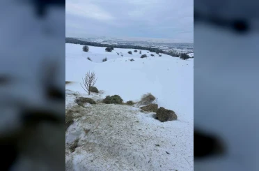 SCÜ, Yabani hayvanlar için doğaya yem bıraktı 