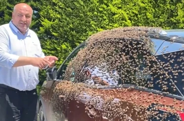 Şehir merkezinde otomobili arılar sardı 
