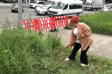 Şehir merkezinde tırpanla geçim mücadelesi
