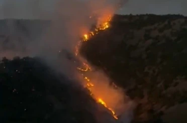 Şemdinli’de ormanlık alanda korkutan yangın 
