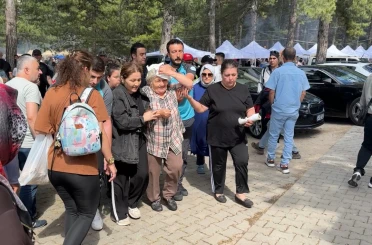Şenlikte ağaçtan düşen dal yaşlı kadını yaraladı 