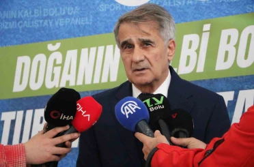 Şenol Güneş: "Milli takımın çeyrek finale kadar rahat gelebilecek bir görüntüsü var" 