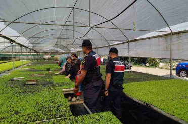 Sera sahiplerine yangın uyarısı 