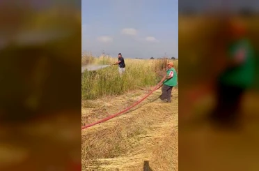 Şerare yapan elektrik telleri yangına sebep oldu 