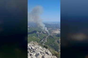 Serik’te ormanlık alanda yangın 