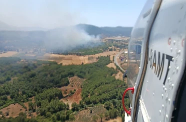 Seydikemer’de orman yangını 