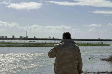 Seyhan Nehri taştı, Tarsus’ta tarım arazileri sular altında kaldı 