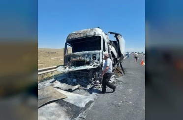 Seyir halindeki sebze yüklü tır yandı