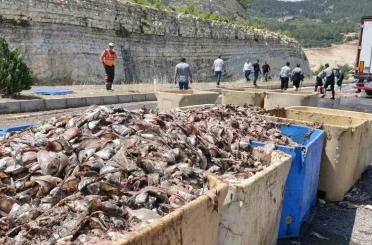 Seyir halindeki tırın dorsesi patladı, 15 ton balık atığı yola saçıldı 