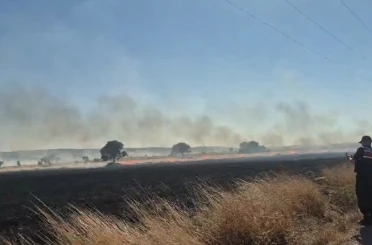 Seyitgazi’de çıkan yangın 3 köyün ovalarına yayıldı, ormana doğru ilerliyor 