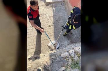 Siirt’te 1 buçuk metrelik yılan evin bahçesinden çıktı 