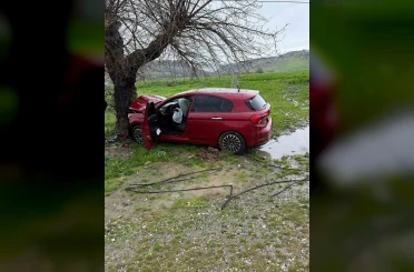 Siirt’te ağaca çarpan otomobilin sürücüsü yaralandı 