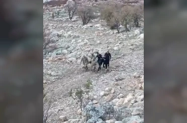 Siirt’te araç şarampole yuvarlandı: 1’i ağır 4 yaralı 