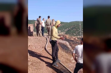 Siirt’te çıkan yangın ekiplerin müdahalesiyle söndürüldü 