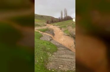 Siirt’te dolu yağışı etkili oldu, bahçeler zarar gördü 