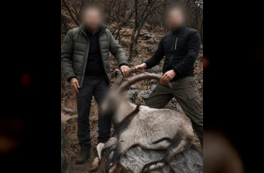 Siirt’te koruma altındaki 5 yaban keçisini avlayanlara ceza 