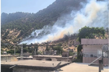 Siirt’te orman yangını büyümeden kontrol altına alındı 