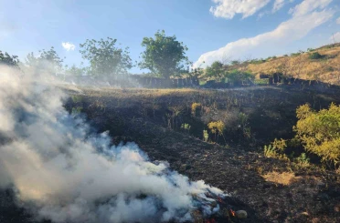 Siirt’te otluk alanda çıkan yangın fıstık ve üzüm bağlarına sıçradı 
