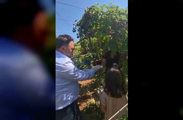Siirt’te özel bireyler ve çocuklar böğürtlen hasadında buluştu 