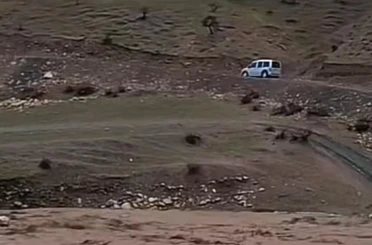 Siirt’te sağanak yağış hayvancılığı olumsuz etkiledi 